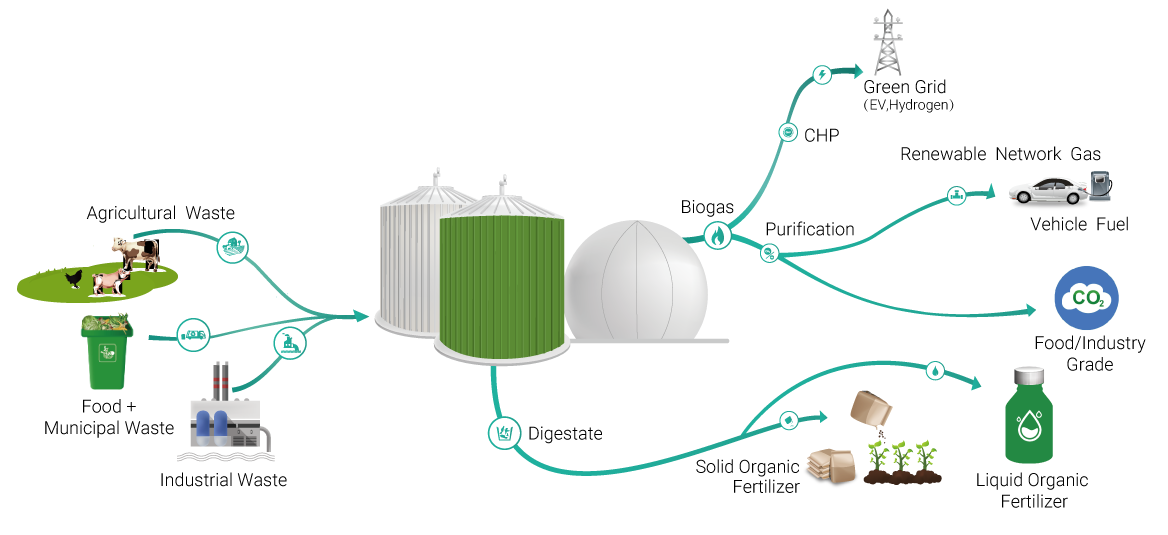 Biogas process
